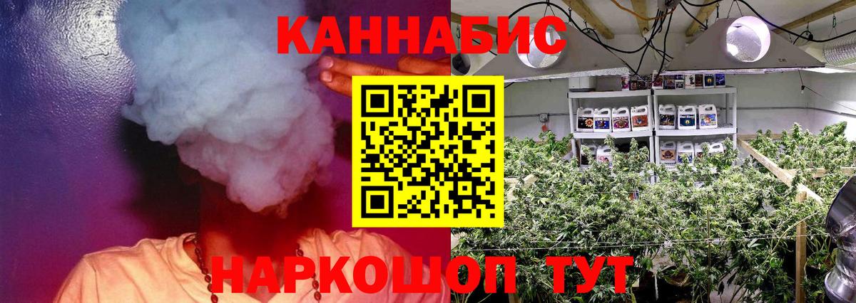 Бошки Шишки конопля Новокубанск